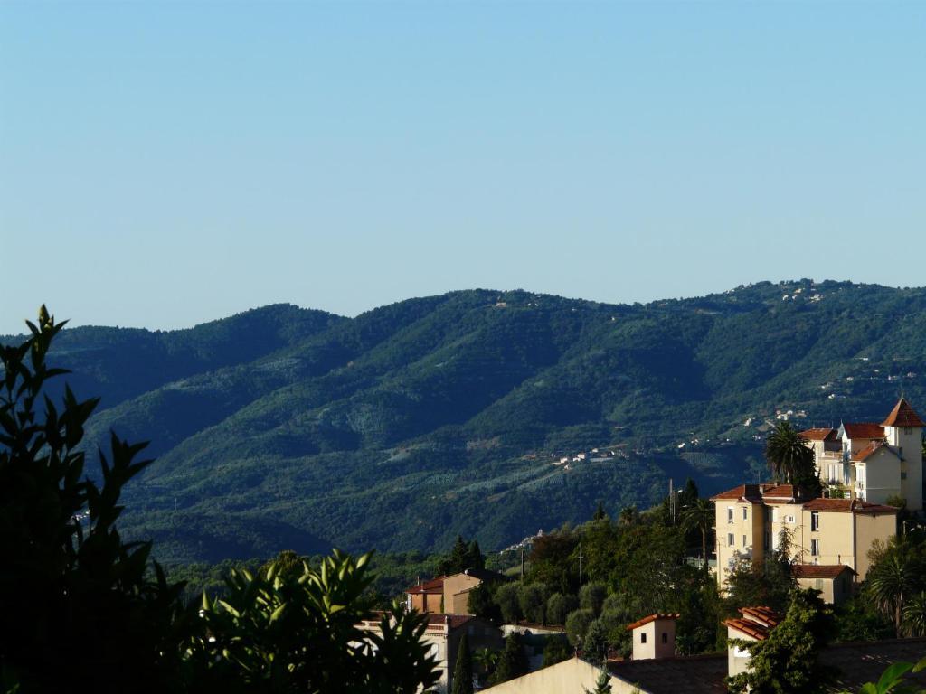Les Palmiers Bed and Breakfast Grasse Eksteriør billede